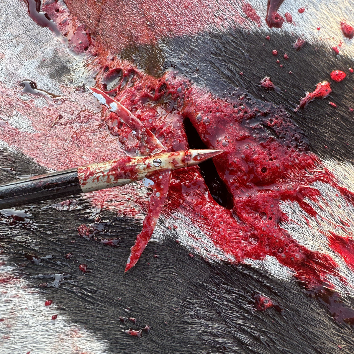 Aluminum Broadheads